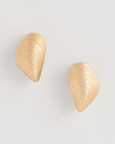 Chico's / Mixed Metal Shell Earrings