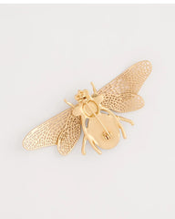 Chico's Discount - Sodalite Stone Pearl Bee Brooch