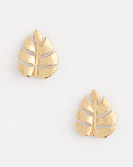 Chico's Online - Palm Frond Stud Earrings