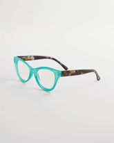 Chico's US - Teal Tortoise Readers