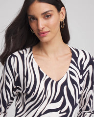 Chico's Online - Ella Zebra V-Neck Pullover Sweater