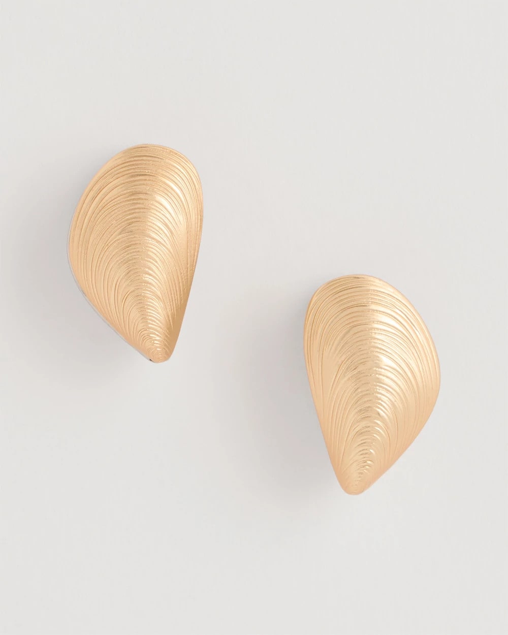 Chico's / Mixed Metal Shell Earrings
